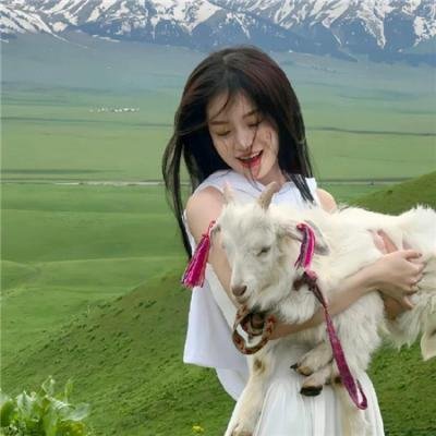 鸡兔英雄与暗黑仓鼠